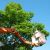 Quincy Tree Services by J Landscaping